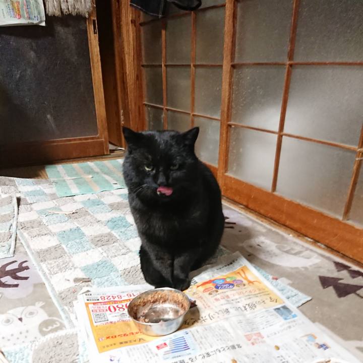 31757f65 f602 495f baeb 386bb068c0c9 1646303385298