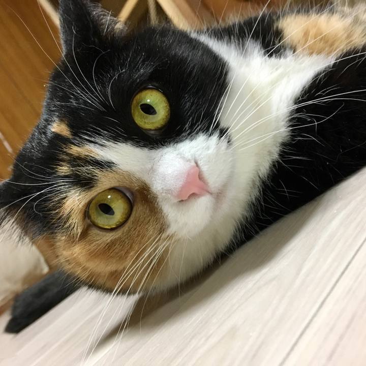 31758468 ba27 4890 bb09 0f6b96de559b 1518969013303