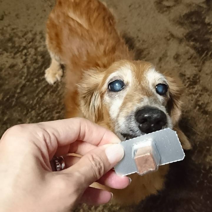 3175939a 969b 4504 a34f 3a3258c7a77e 1509494240382