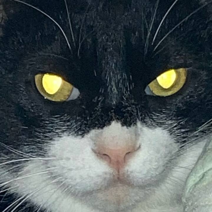 3175fde2 9e75 49bf aba3 9279e9a78893 1617948894666