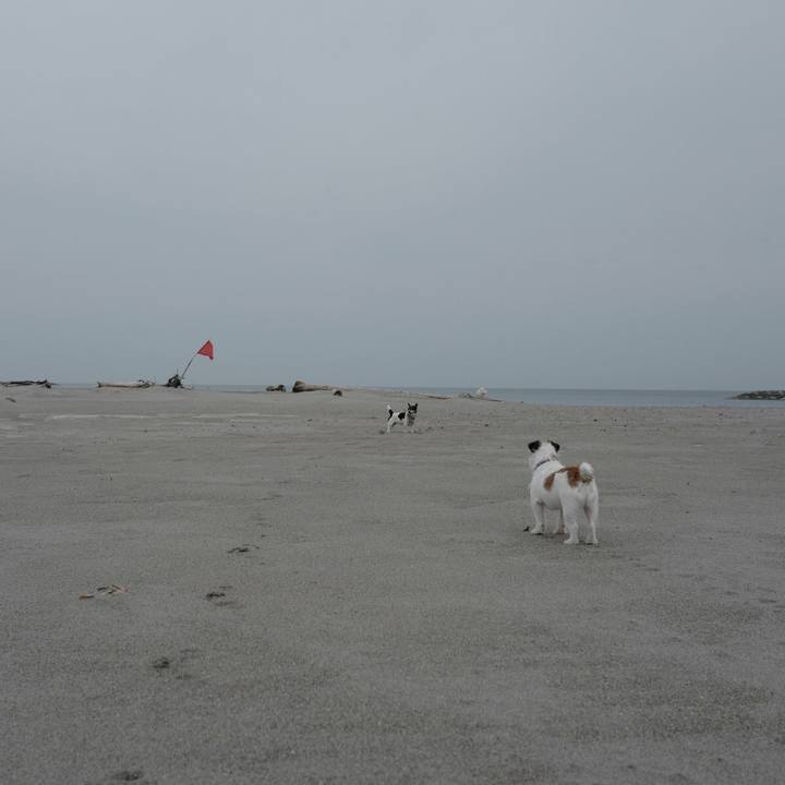 3176826f 8971 43ab 9fb5 52dd8f989a8f 1523419201156