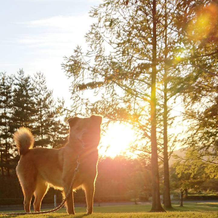 317696b7 5aaa 4c73 844a 81bf6593ba86 1569488991472