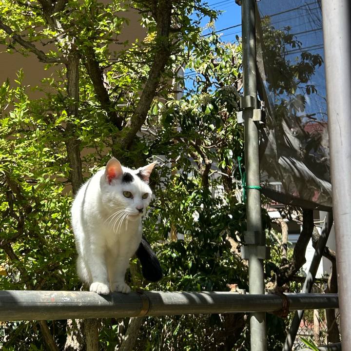 3176c3f6 3bcf 46cc 920e 602df563ac33 1744190627397