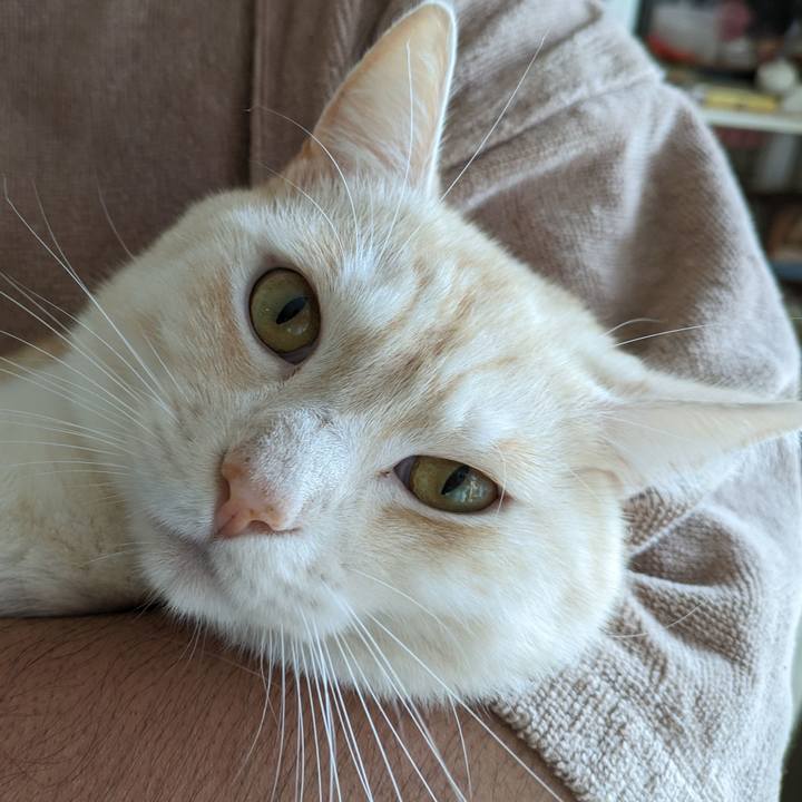 3176ee45 8a22 4a0b ad45 ebe05731296f 1695513506744