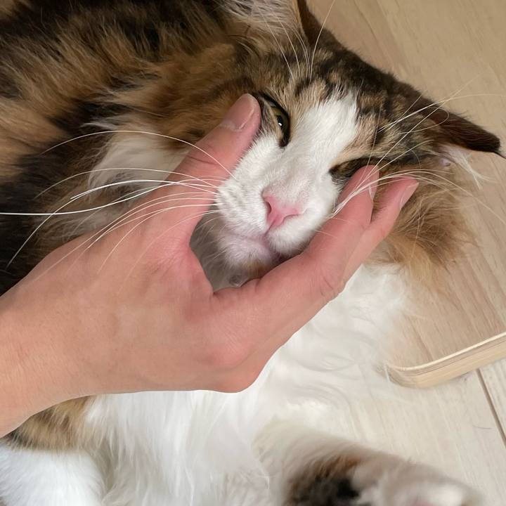 31772aad 680f 44c9 9539 82cab0daac57 1654552310551