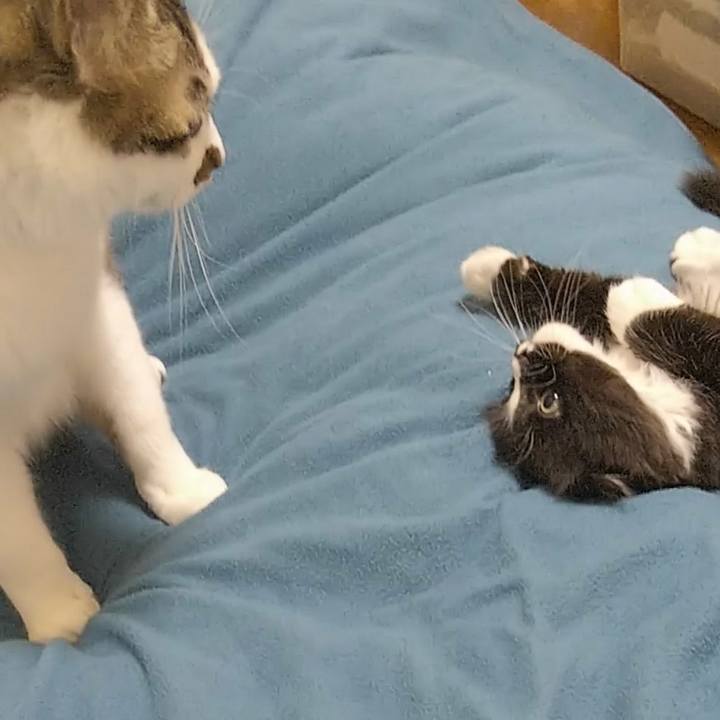 31782531 a255 4c78 b133 a4560266b32b 1639198712243