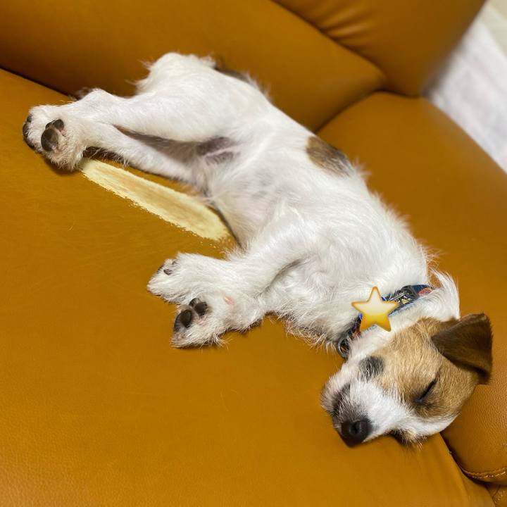 3178291c de3c 4496 b916 5f1a7698727c 1720964446680