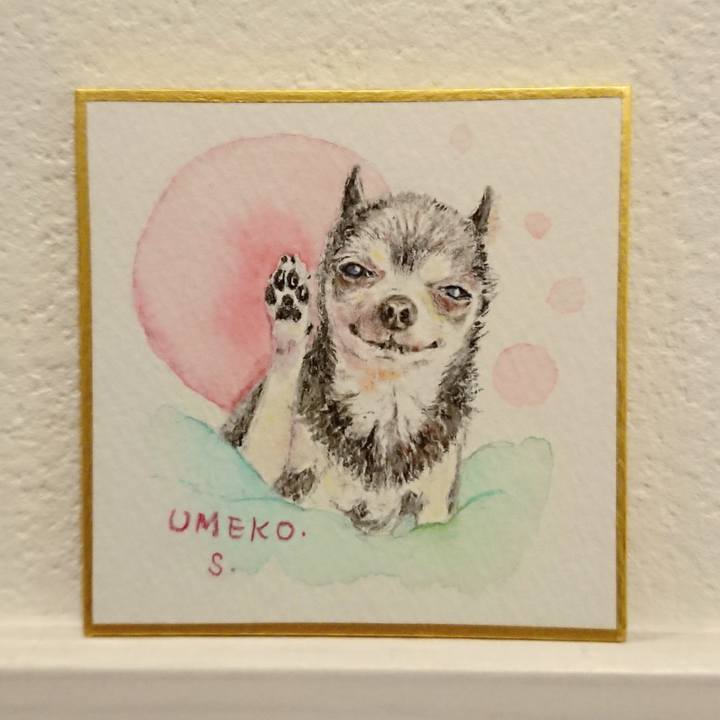 31783cae a96d 47e8 8d8e e9a5c8ffe8f3 1584183327937