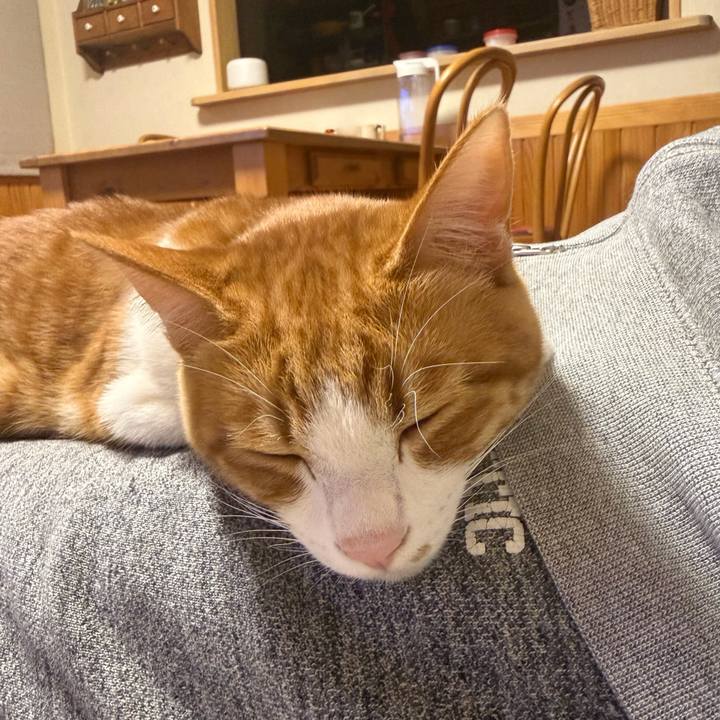 317865fc 8fa9 43aa a204 505edc281223 1770814890568