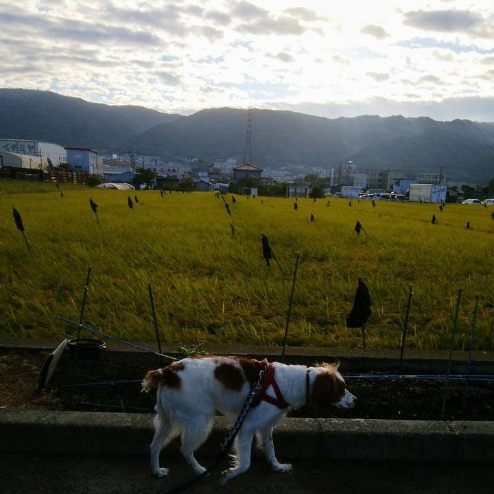 3178808c 6a30 4989 88f5 c8b169a62f15 1537920975434