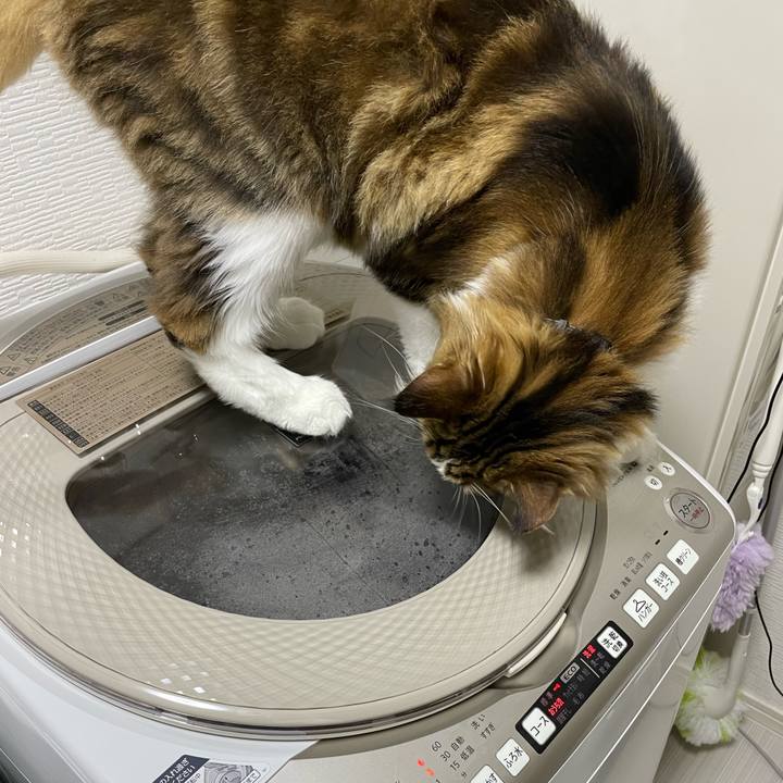 31788a35 e094 4280 9231 8d39ed0d5500 1664888438305