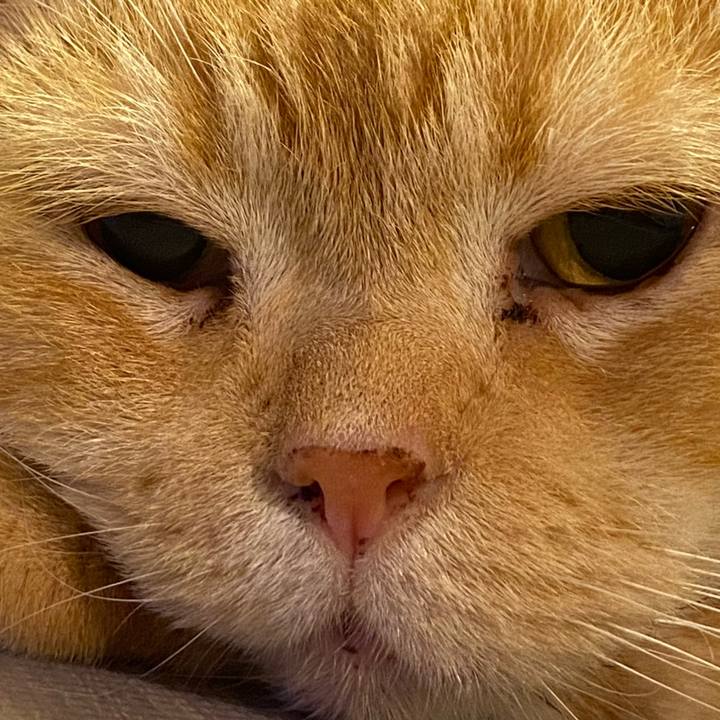 31789280 a654 45a8 b9c1 25d7dde10dfa 1627312787727