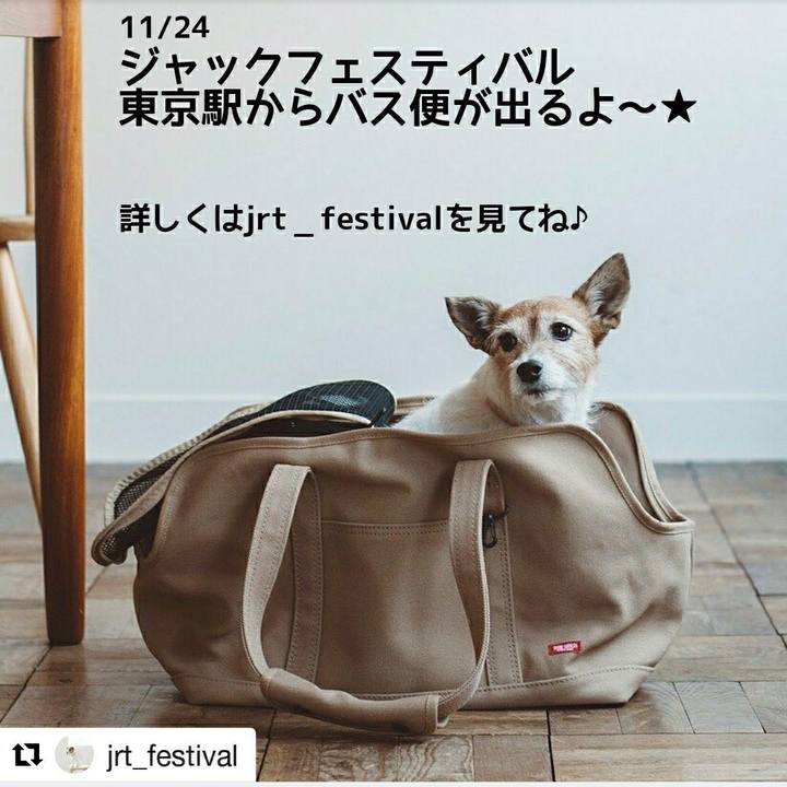 3178a406 fc45 4765 bf78 476f68796da0 1531919331604