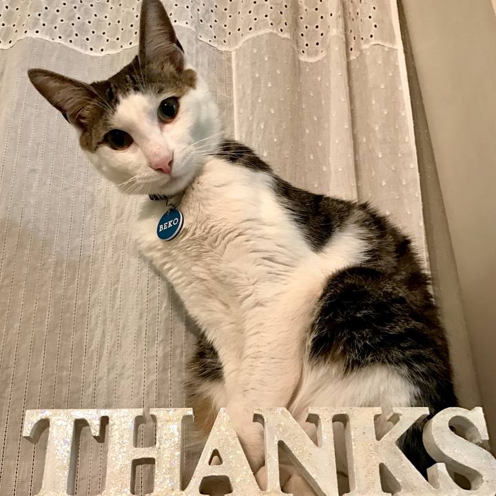 3178f667 2bb4 428e b50a 1d4e81ee2ce8 1523800486103