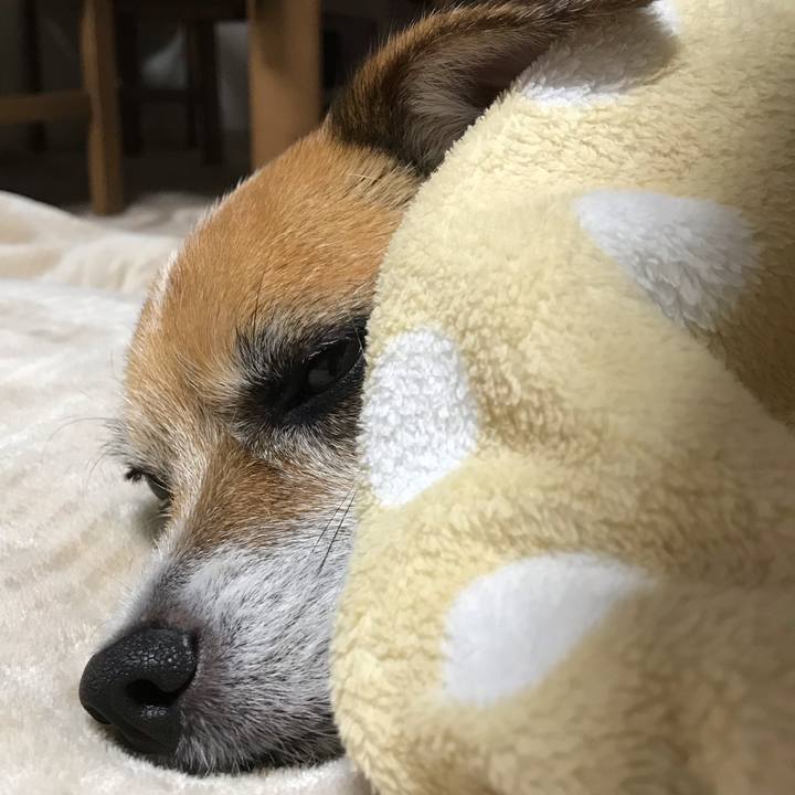 3178f8ab 0ce3 4c10 956d 3fb9f317efca 1543834721494