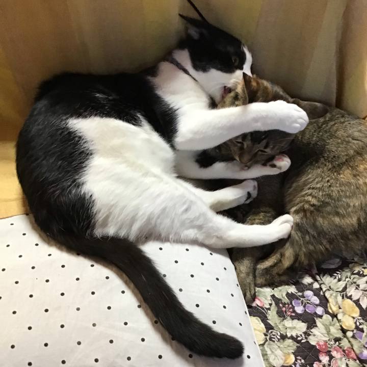 31795721 716c 4021 9516 592d2b673758 1640417622977