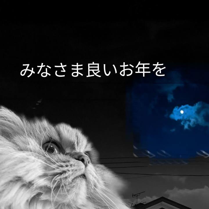 317964f4 40f3 481b a4e9 b1e77783561f 1640939559499