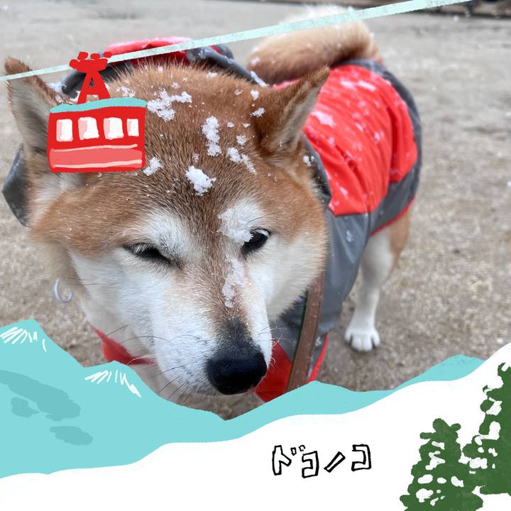 317973cc d19b 4bd4 a5fb 03f8b16b1cc6 1707118471378