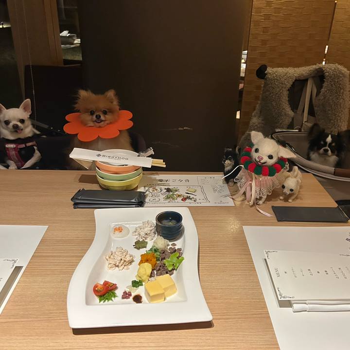 3179e80f a431 455d be57 9c9a7d68f4ba 1764930685057