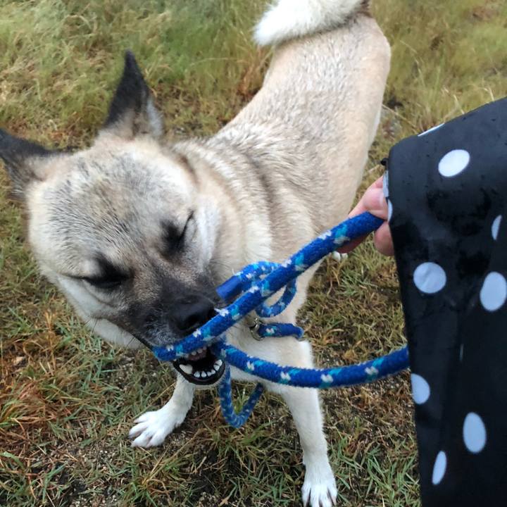 317a2778 6ad6 4e08 b1e6 4d5a3873b25c 1568979770082