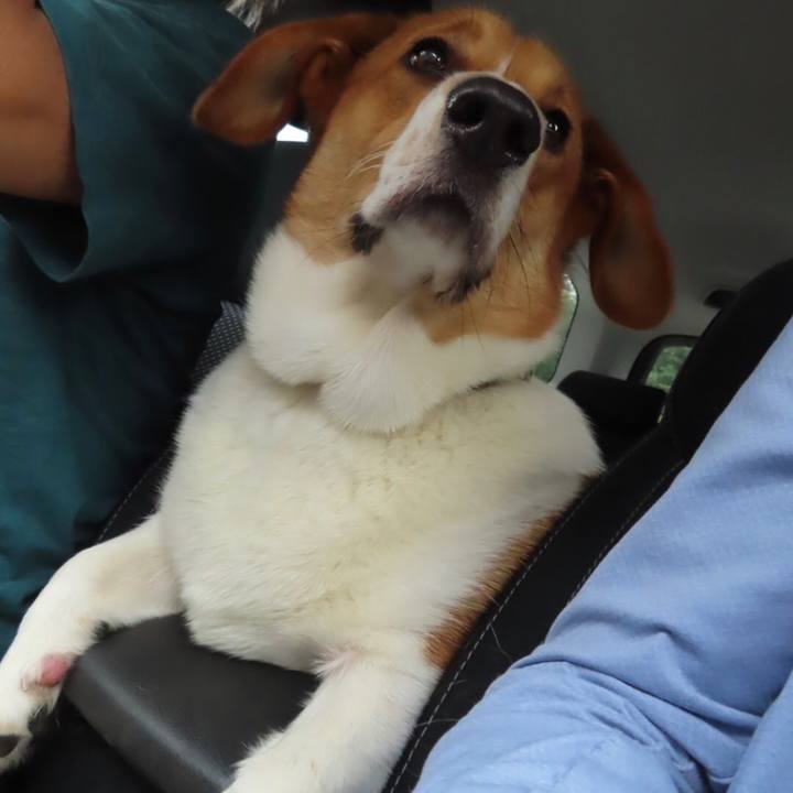 317a3e82 4c13 49d4 9b12 0cbde0105ec3 1631567795232