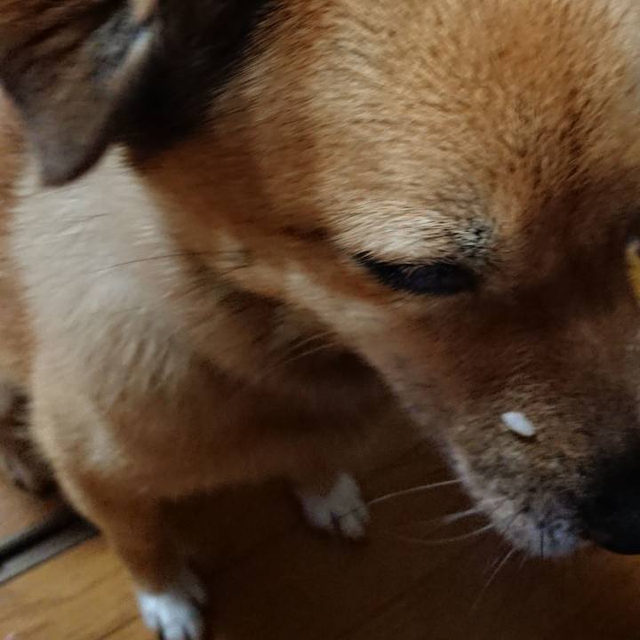 317a4835 2b33 4244 be33 1bd57e8517b3 1657369487037