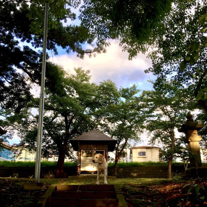 317a484d 00dc 4321 b383 99a9651239b0 1596280726788