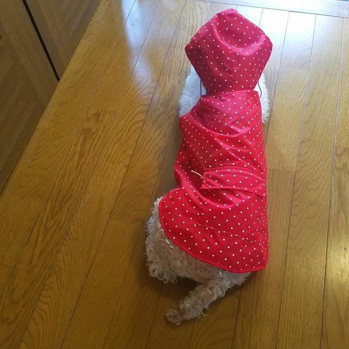 317a5b6f e06f 4ac0 9323 3265b616c2ff 1589631601023