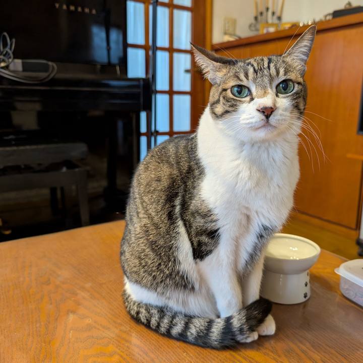 317a634c 760e 47b6 b71f d50eb3068be8 1766444115582