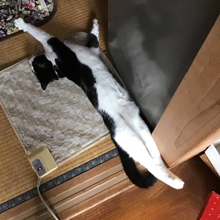 317a6c84 4162 4c59 9101 0d52d6b0b523 1635657068969