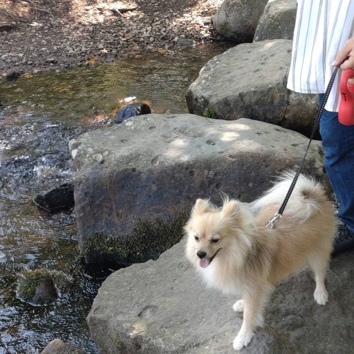 317a78f6 d523 48d7 bbf9 cc8d3719b0ab 1756679847330