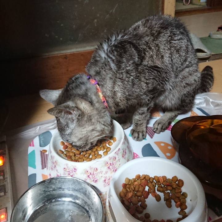 317aaf2e 56ee 4e12 9cb5 6ab4fb7d61ad 1596967754500