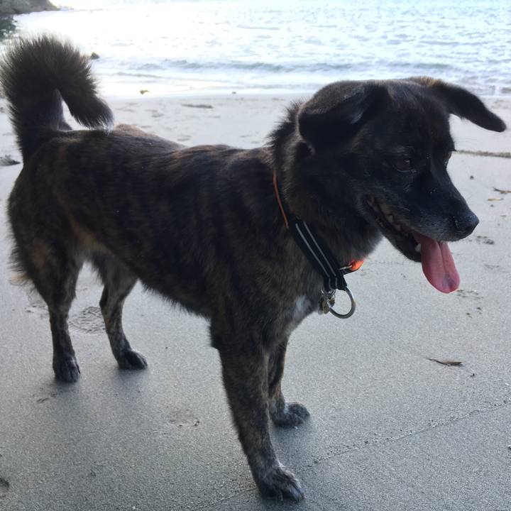 317abc72 fb77 408a 87c1 228a64963a0a 1530020380087