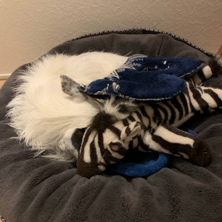 317acb6c 9a78 479e bfb9 c39658e88949 1673701660460