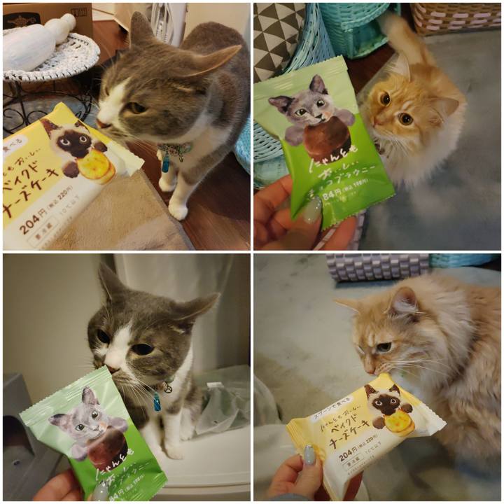 317ae9b9 4ab1 4780 a3c8 a6b2a2c897a9 1676985662270