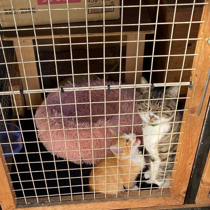 317af36d 0789 4761 b279 31f9e3856fe4 1666338318869