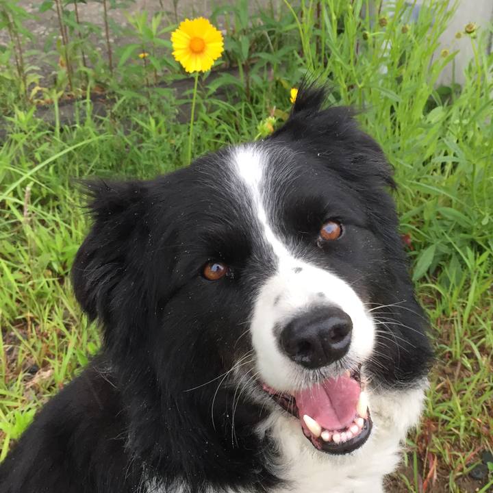 317af52d a958 41a3 8ba9 6592d1d40edb 1525218777781