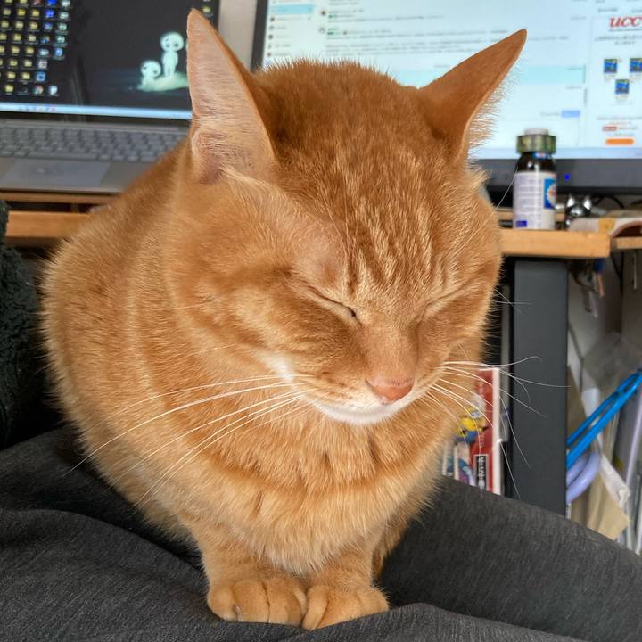 317afac6 d26a 44ba b260 c4c630f5c1c0 1773709963097