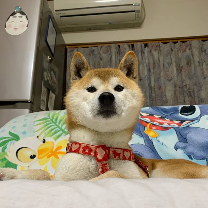 317b15be 2f4b 474c b88b c63c086d555d 1616928415417