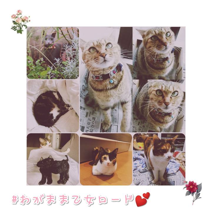 317b2d10 c223 4fb9 8593 002be2f831fb 1568890054705