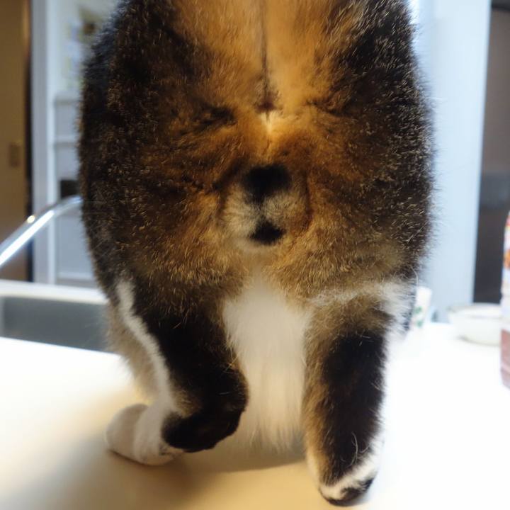 317b3737 4bee 4dda b478 7f09e6fabbe6 1764926242430