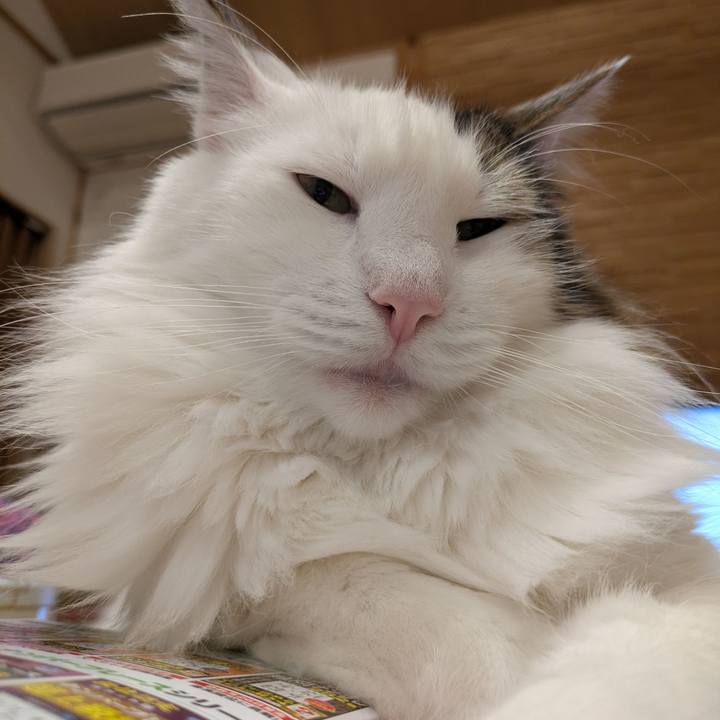 317b3bbb 8466 42c5 9a28 64253aa8b29d 1762517919851