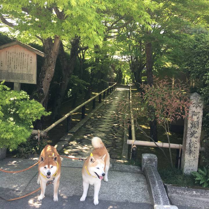 317b41b5 609b 4f25 b8b1 327979bb4121 1524978214585