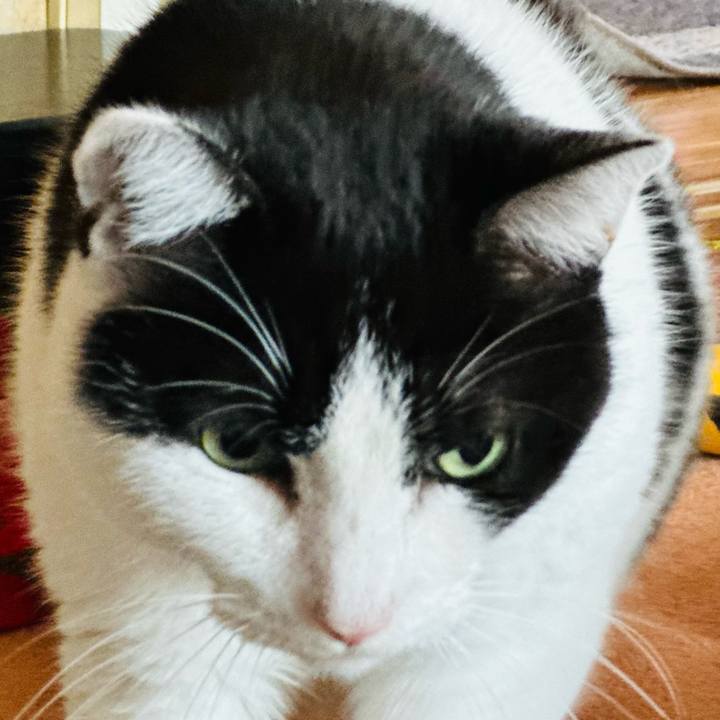 317b591f d013 463d 85aa e63d10a6c0c4 1708740996448