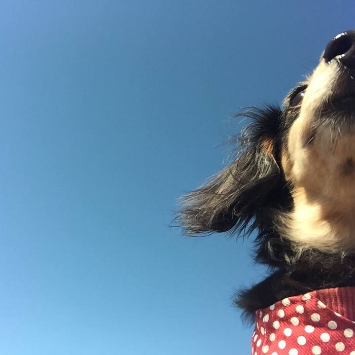 317b6bee 6892 4322 bc2d 763bf26b3433 1538094134551