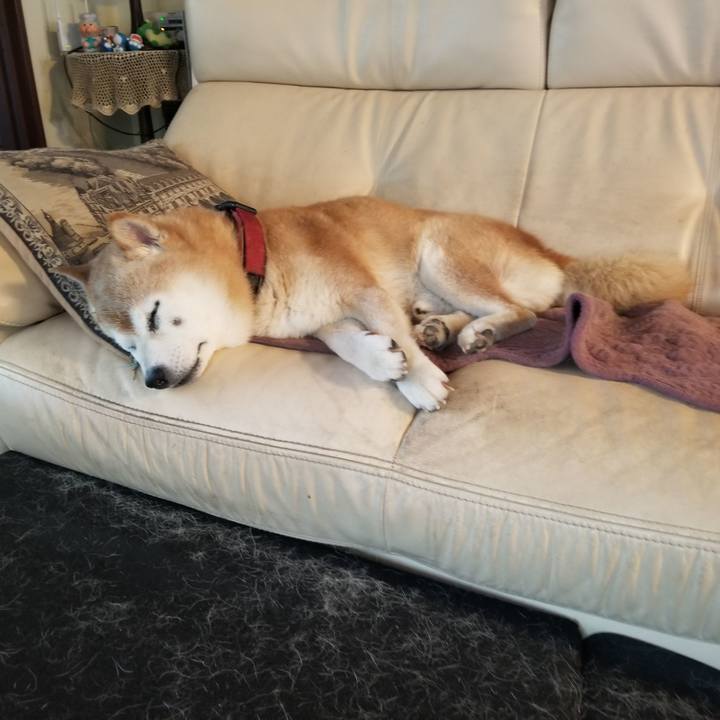 317b7a9e 32c9 420e 9aee 47b8a82adf5e 1754437939894