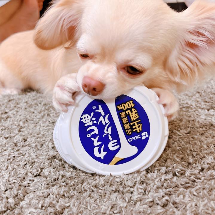 317b83e2 8b52 4940 9c21 f4c9b9bb5614 1655116742099