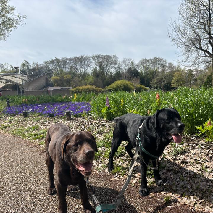 317b8afe e5dd 4000 b56d 3d092e7cb68e 1775476760884