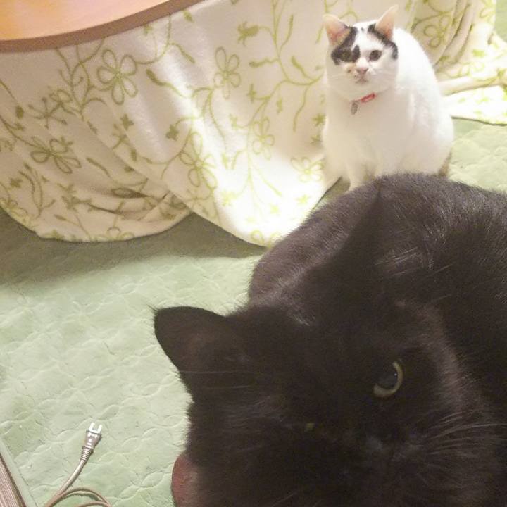 317b96af 85ac 40d3 a8c9 3e5acd6de293 1508061612378