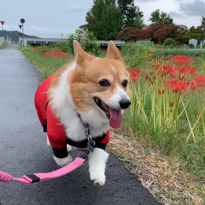 317bfcd1 e0dd 4a99 9694 5187a8bf57ca 1696413267853